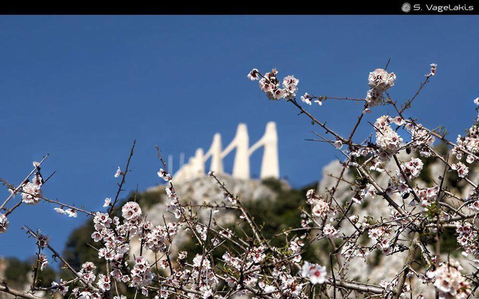 Hotel Fotini Mytikas  Buitenkant foto